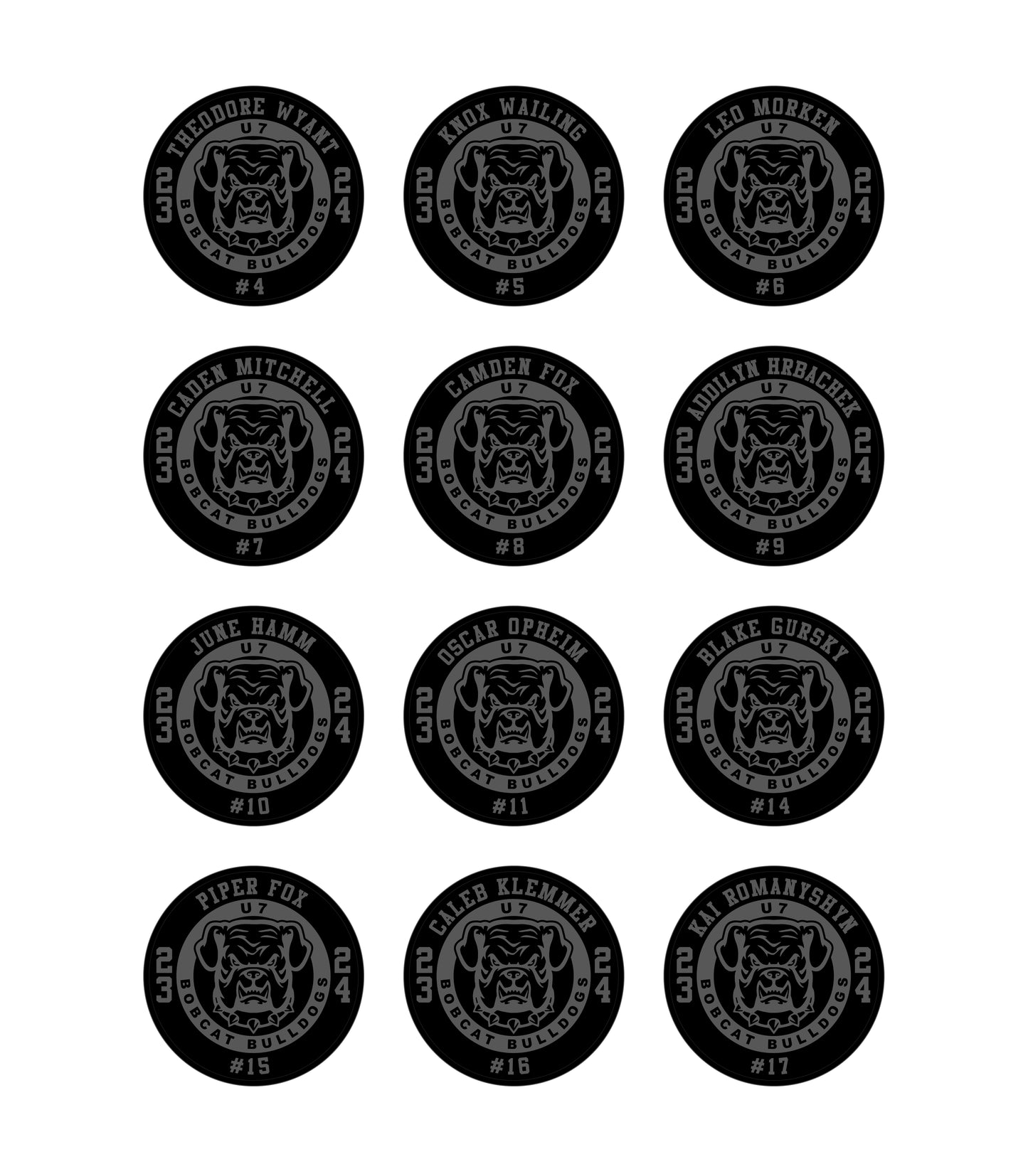 ENGRAVED HOCKEY PUCKS
