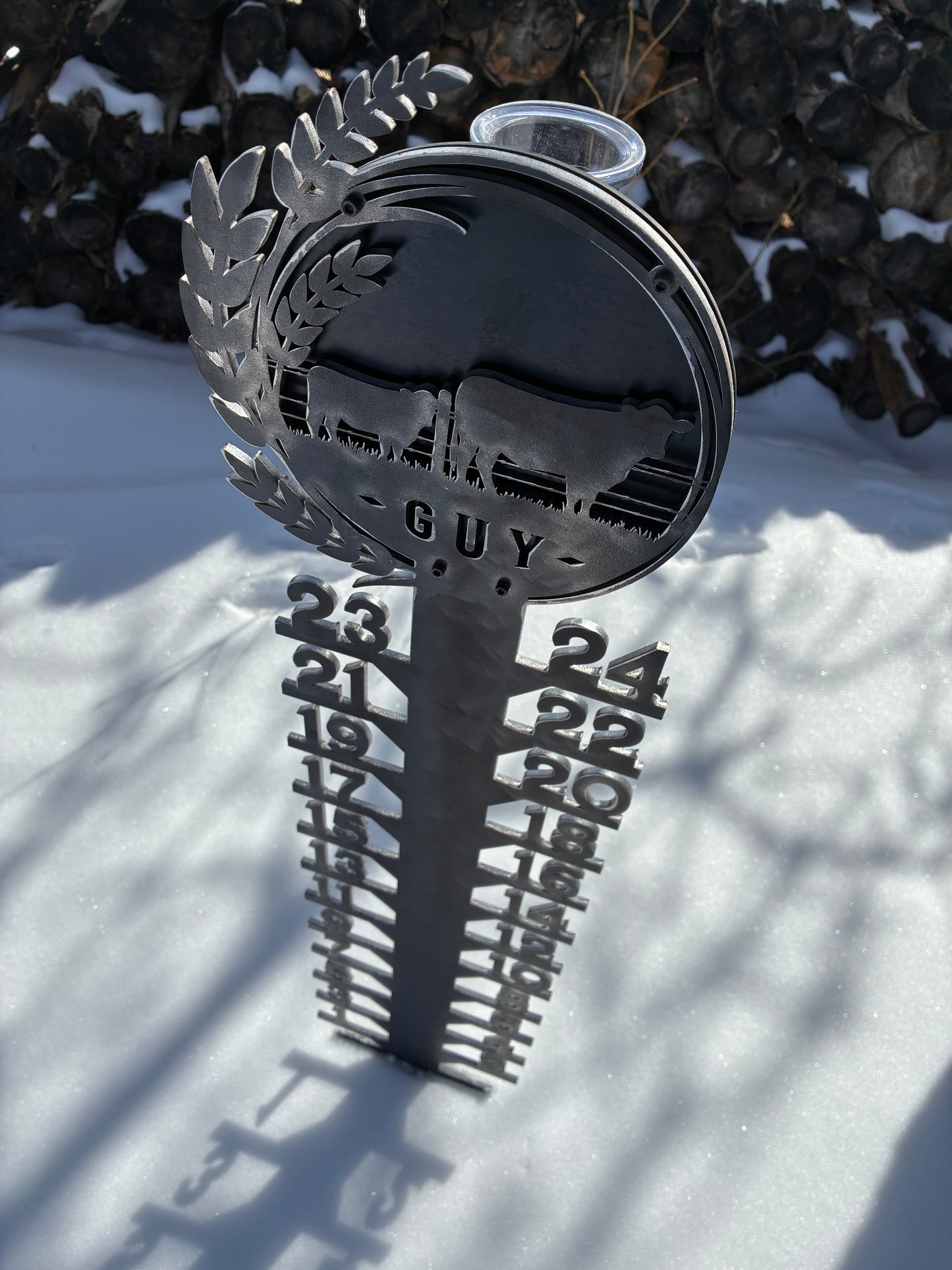 PRECIPITATION STATION