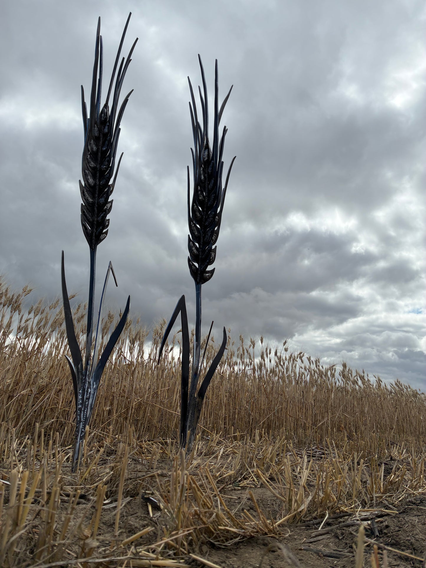 DURUM SCULPTURE