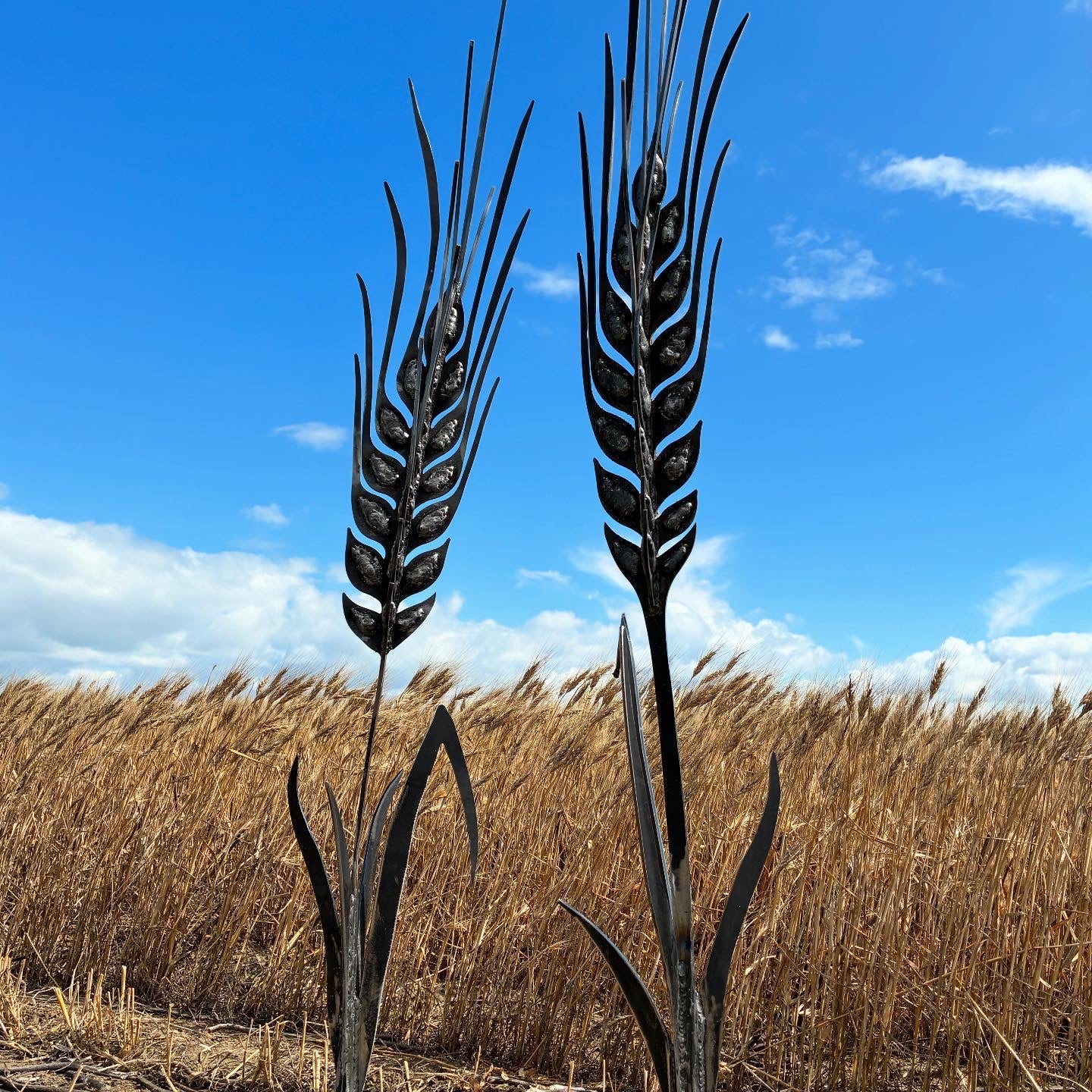DURUM SCULPTURE